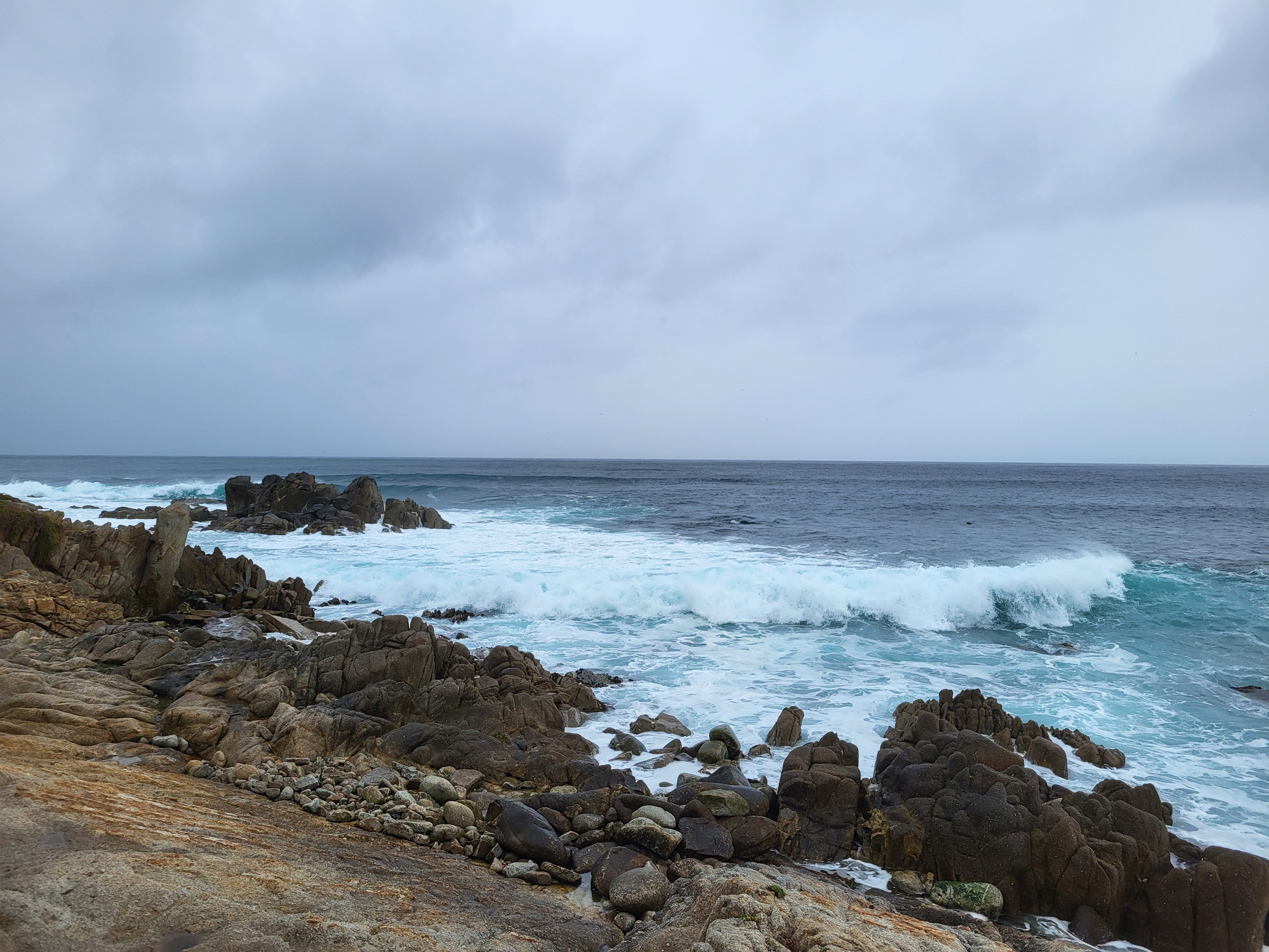 title image reading &quot;Alisomar Coast Trail&quot;