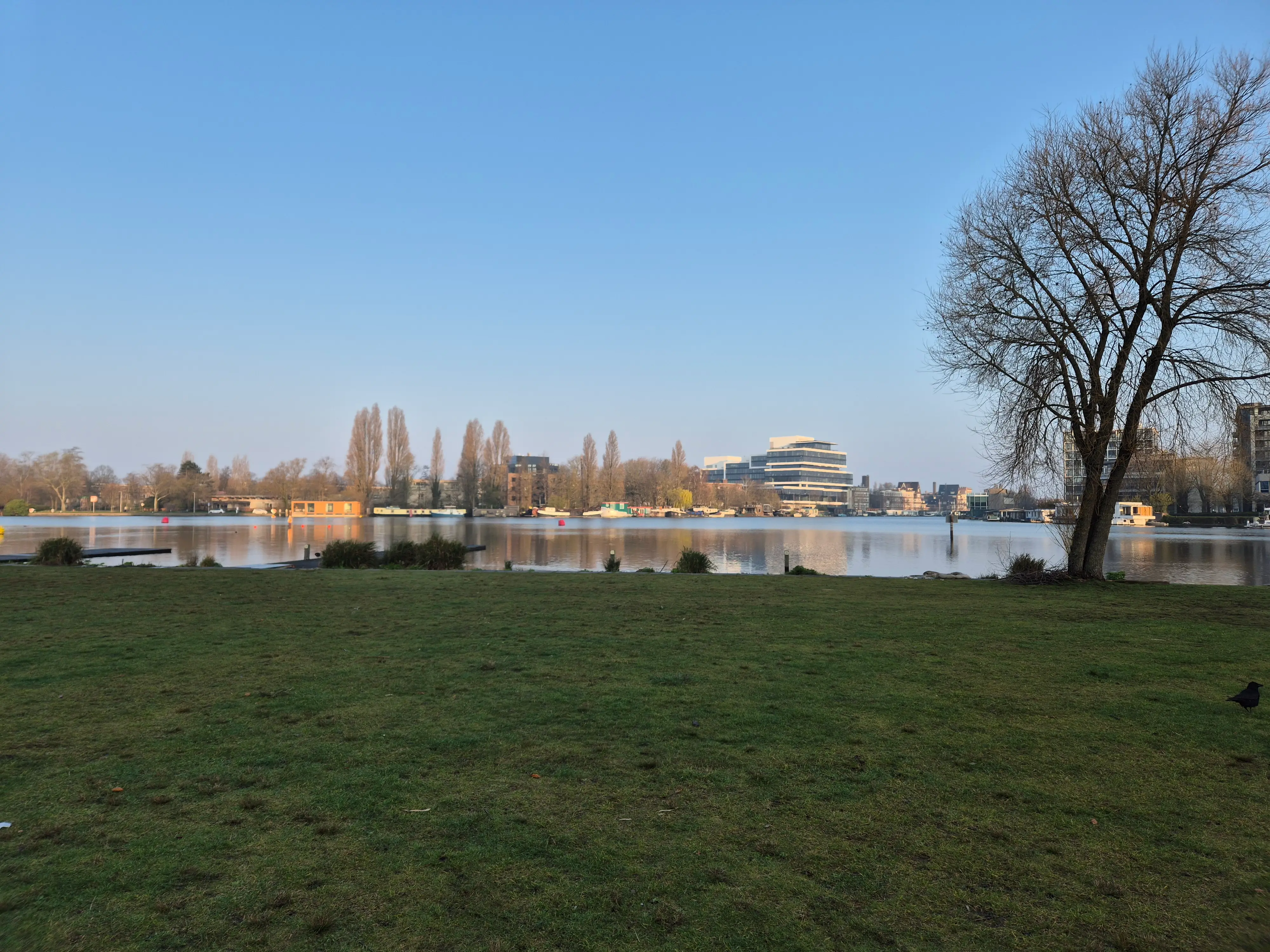 title image reading "Amsterdam Morning Run"