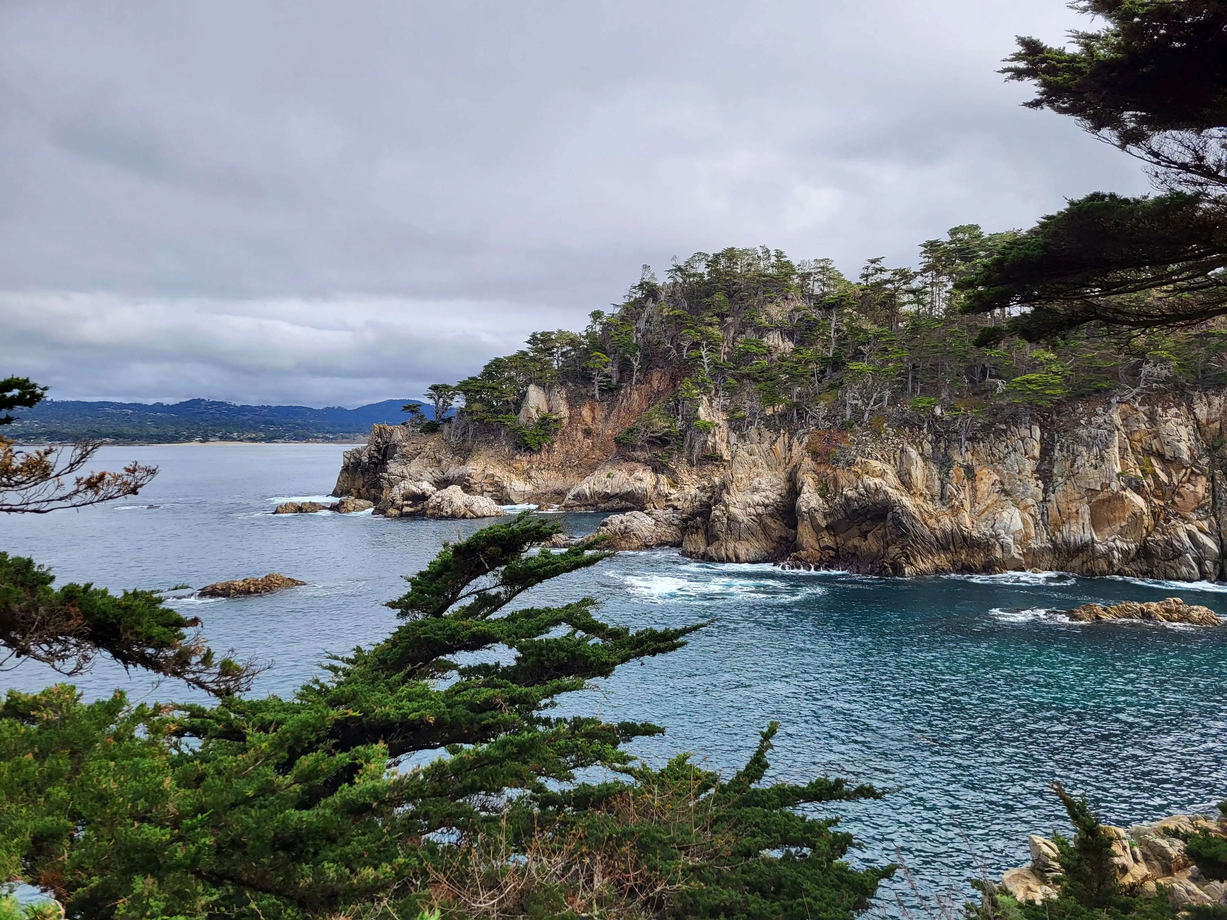 title image reading "Point Lobos National Park"